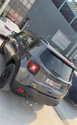 جيب رينيجيد